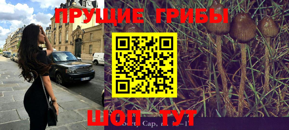 Галлюциногенные грибы мухоморы Белореченск