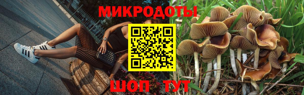 Белореченск  Галлюциногенные грибы мицелий  Вход с VPN 